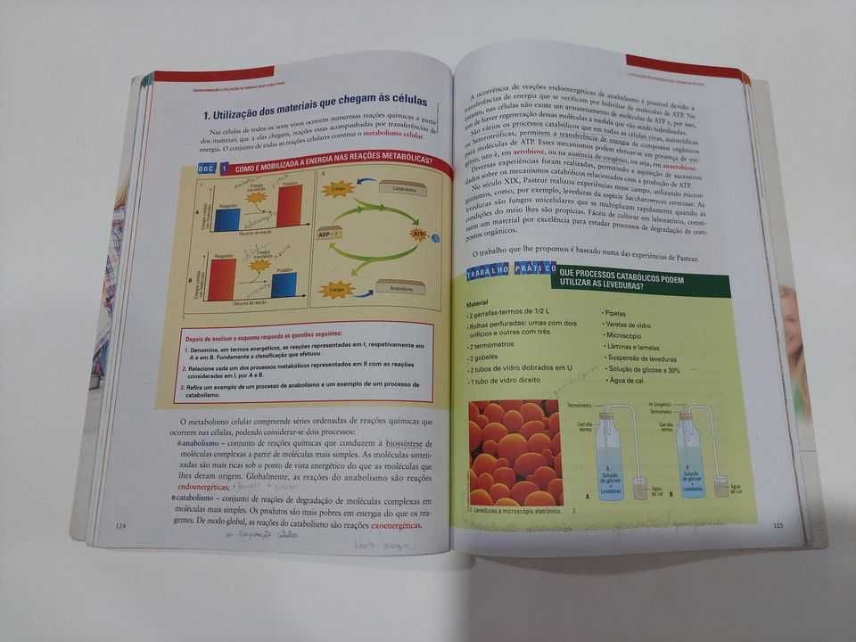 Manuais Biologia e Geologia 11ºano