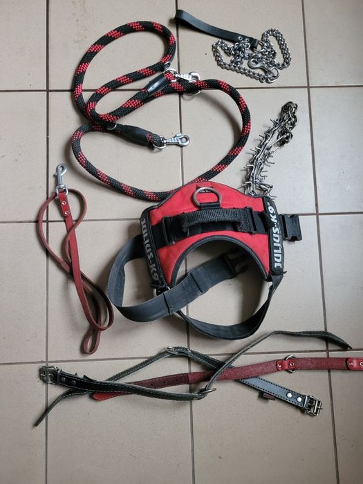 Smycz, szelki Juliusz k9