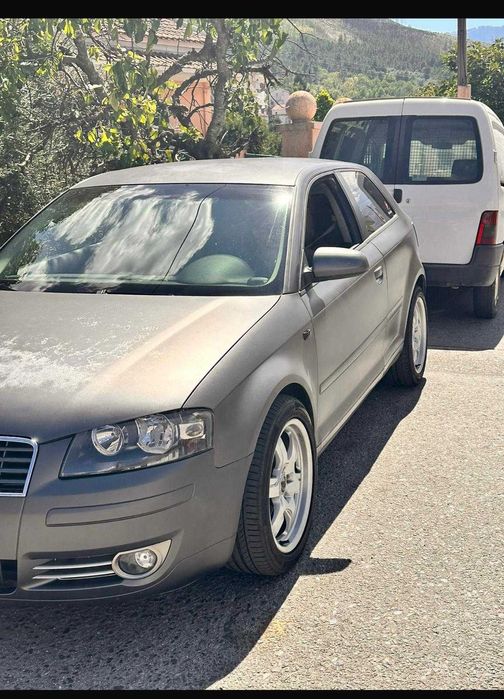 Audi A3 8p  2.0 TDI