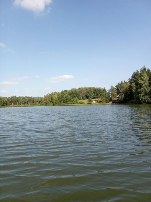 Jezioro prywatne ,las, dom Kaszuby