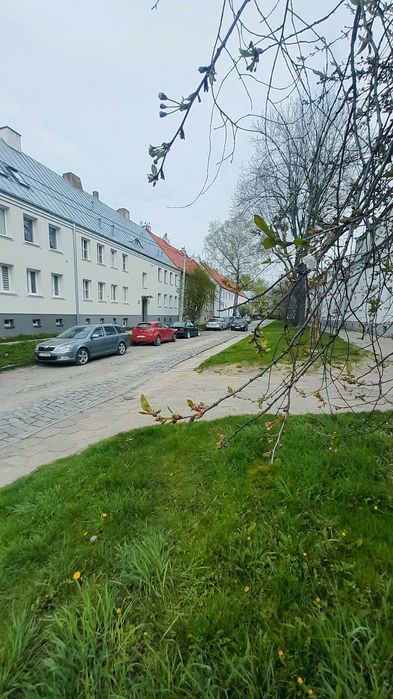 Wynajmę mieszkanie 38 metrów - 2 pokoje - Łódź - Widzew - Stoki