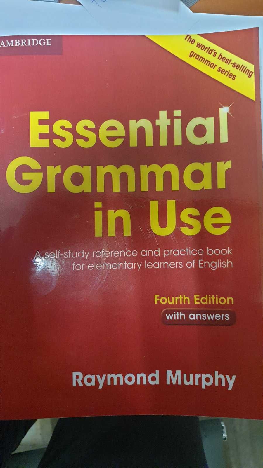 Essential Grammar in Use, 4rd edition