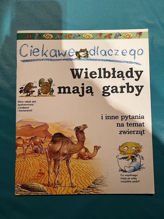 Ciekawe dlaczego wielbłądy mają garby