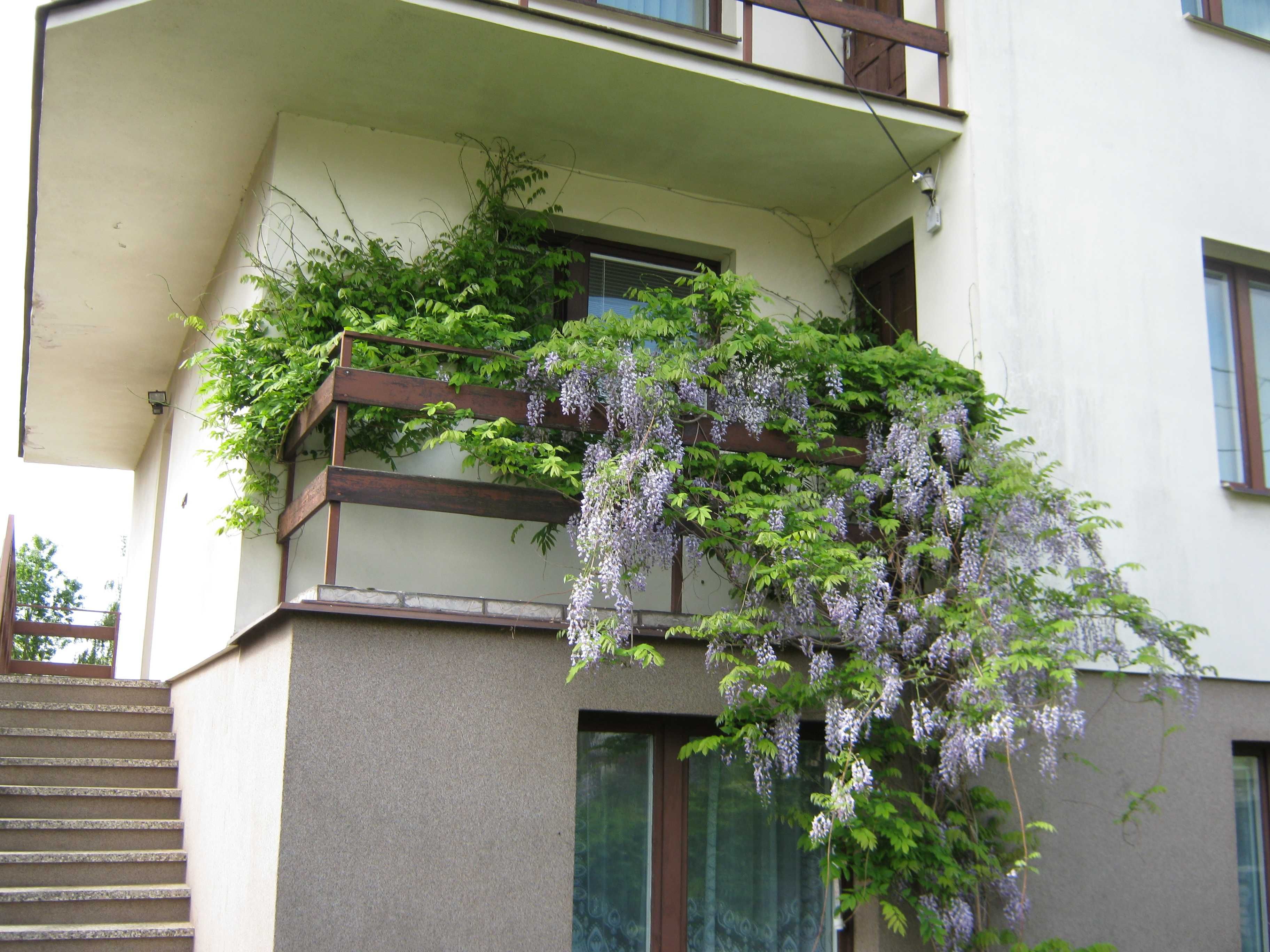 Noclegi Augustów  Do wynajęcia cały dom, apartamenty lub pokoje