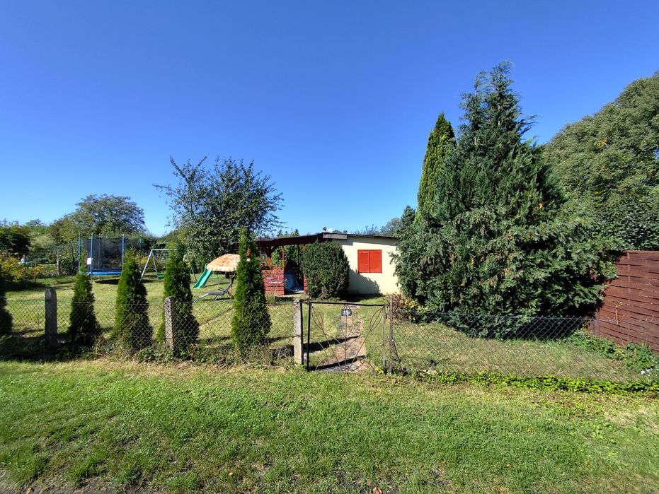 Działka ROD ul. Lipowa za stadionem