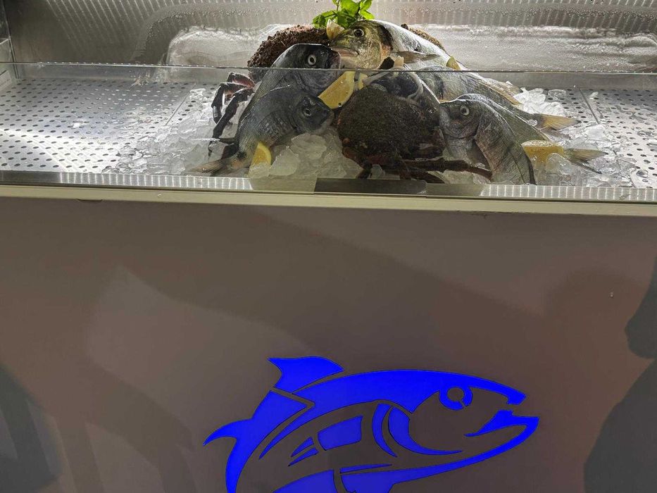 vitrine expositora de peixe