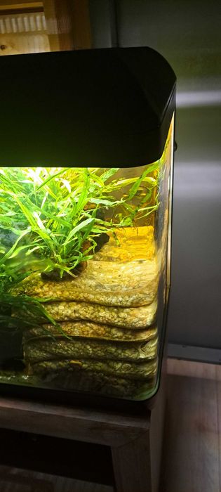 Akwarium gięte nowe .