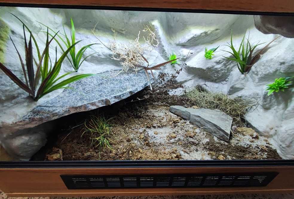 Terrarium nr512  dla żółwia lądowego  80/50/50 - NA ZAMÓWIENIE