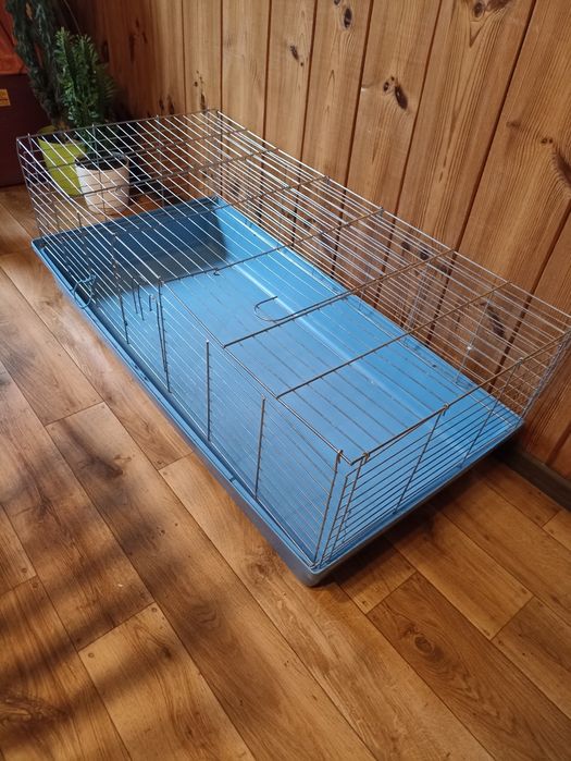 Zestaw dla świnek morskiej