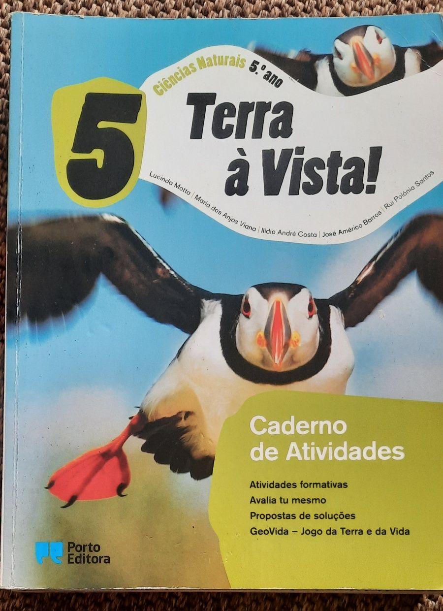 Fichas de trabalho 5° ano
