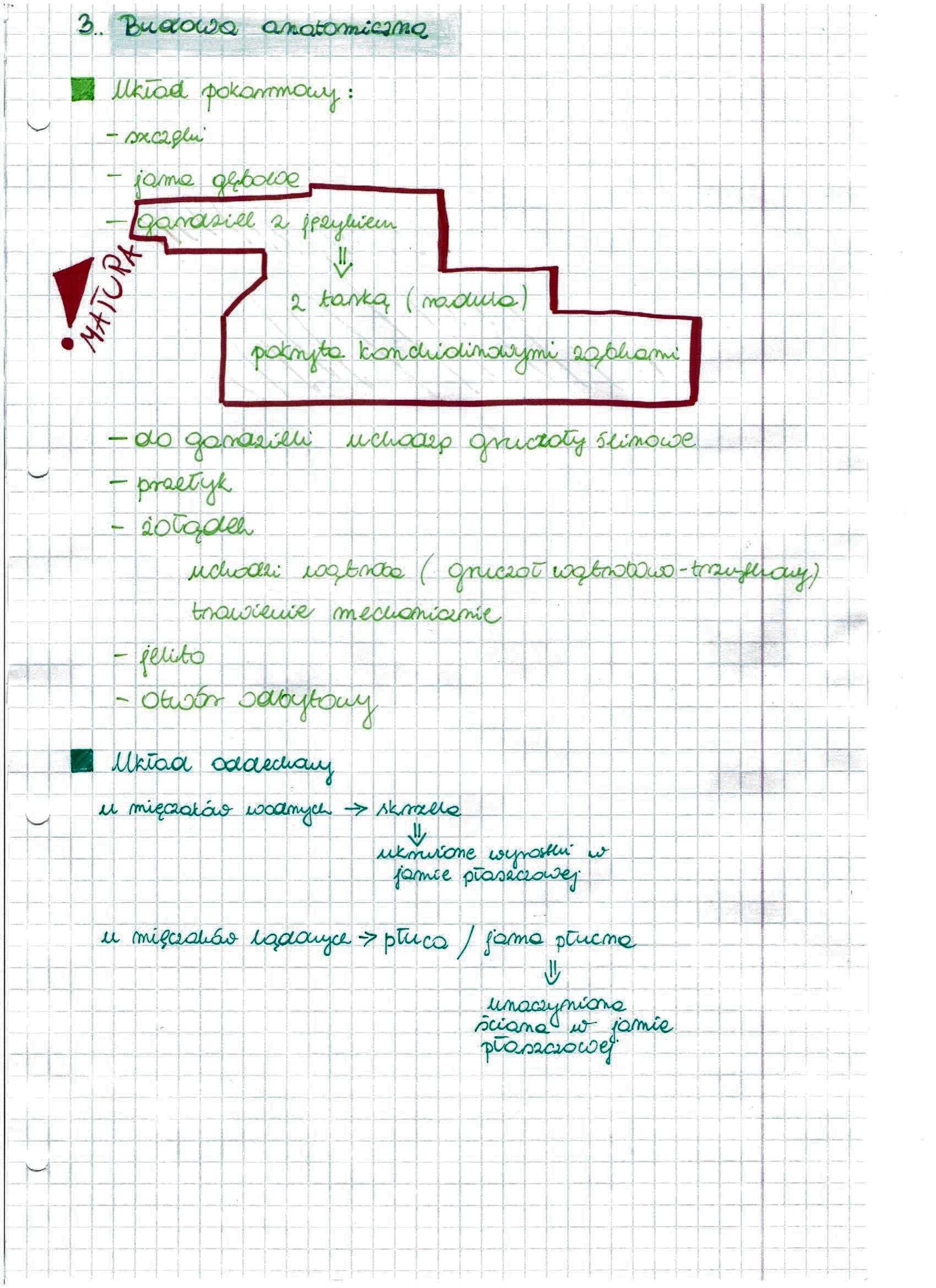 Notatki z biologii do studentki weterynarii