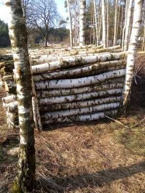 Drewno opałowe, brzoza