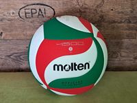 Оригінальний волейбольний м'яч Molten V5M4500