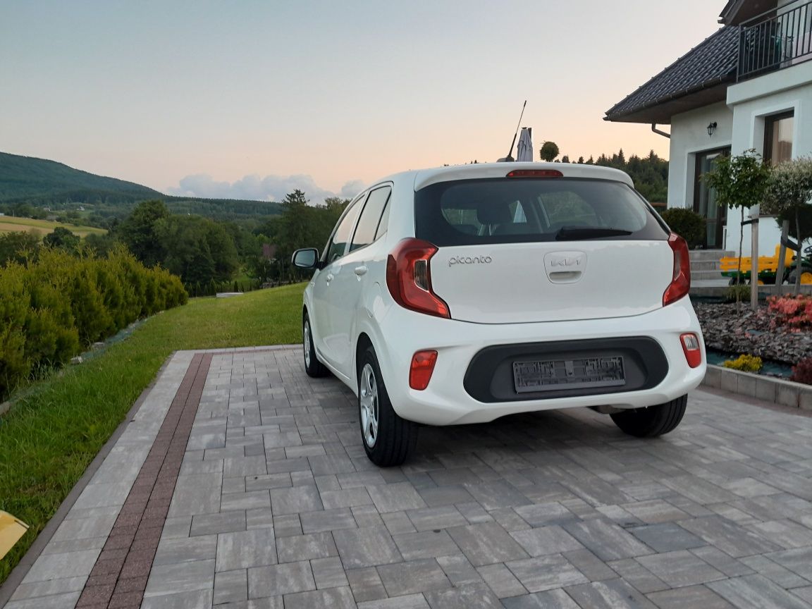 Kia Picanto 2022 rok