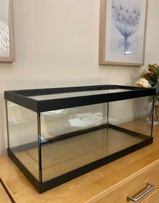 Aquário 62cm x 31cm x 28 cm