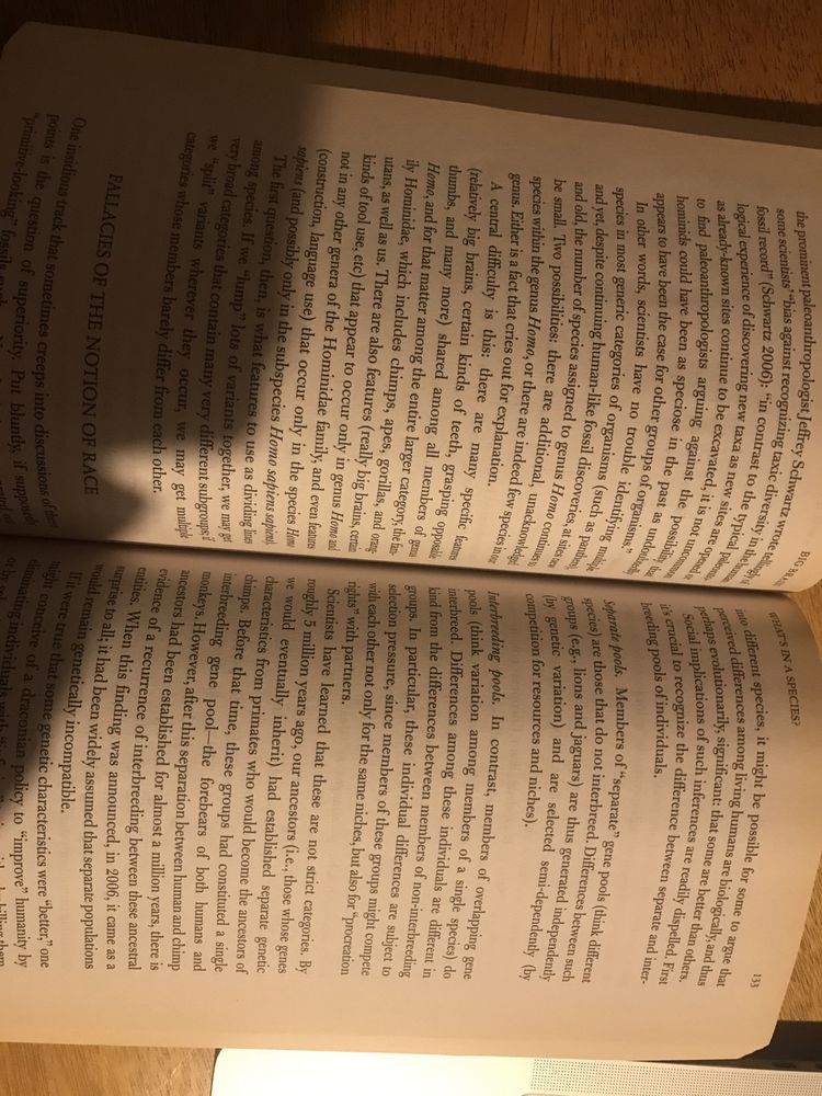 Livro “Big Brain”