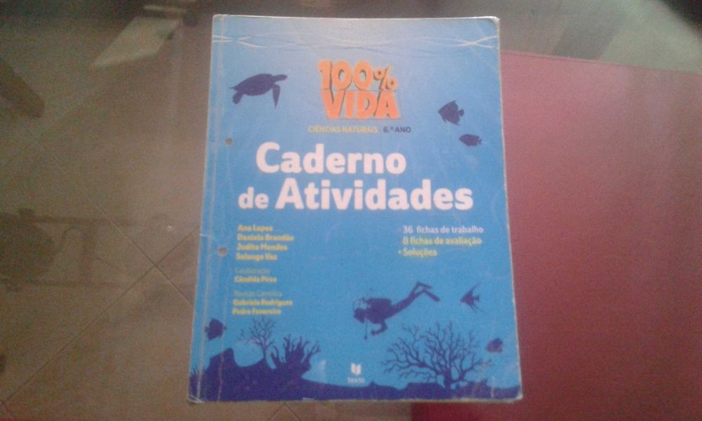 2 Manuais Escolares e 3 cadernos de actividades 6º Ano