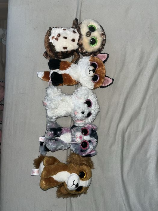 ty beanie babies pluszaki lis pies kot sowa