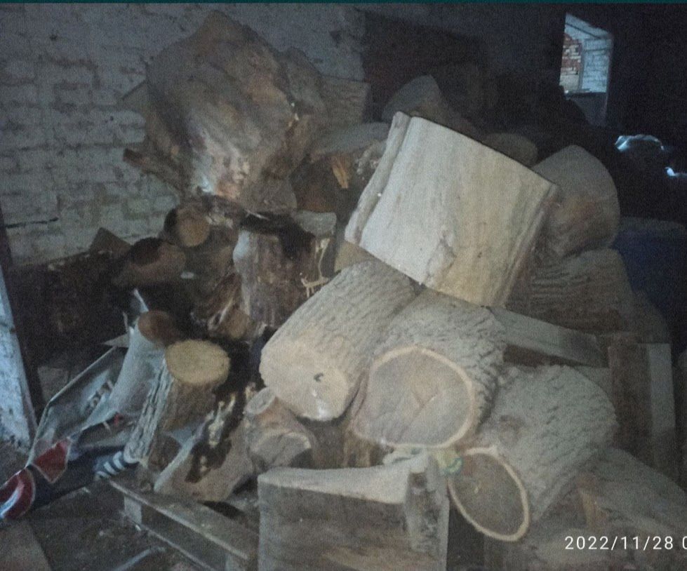 Дрова-колоды в Фастове (разные породы дерева) -1200 грн/м³