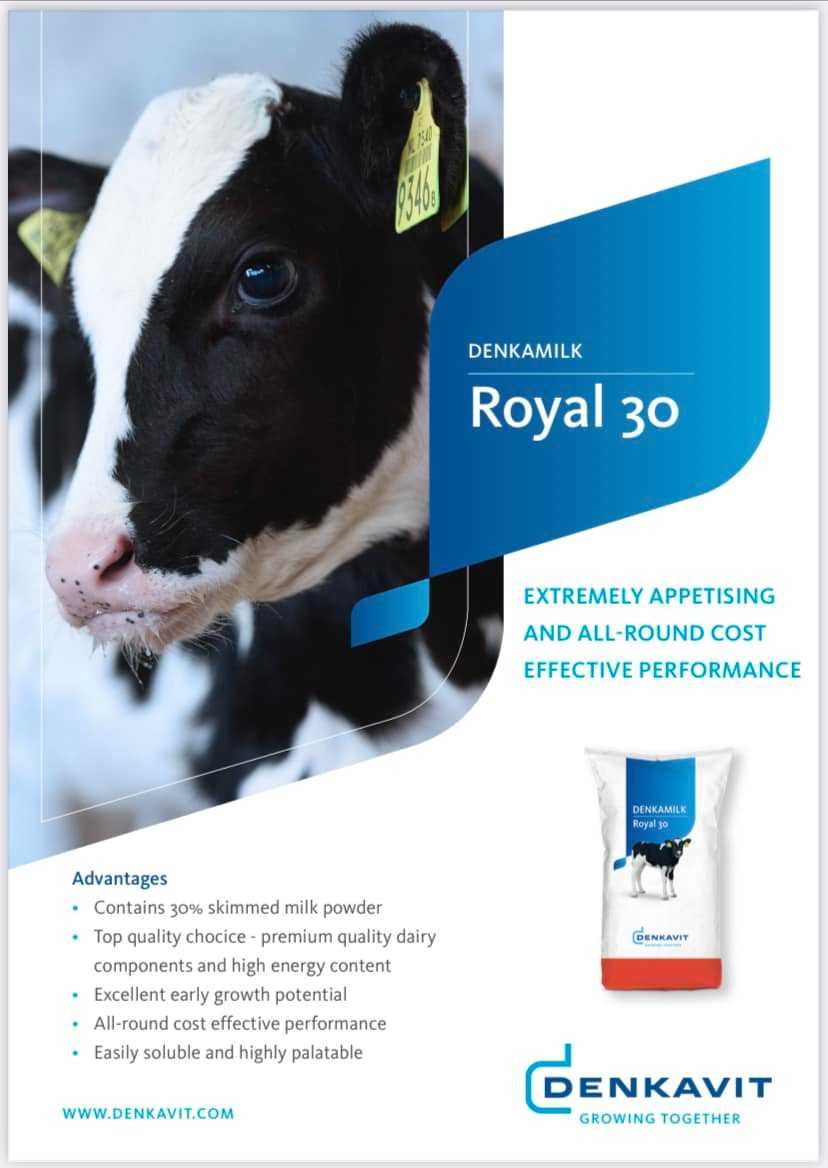 Denkamilk Royal 30 , preparat mlekozastępczy dla cieląt 25 kg