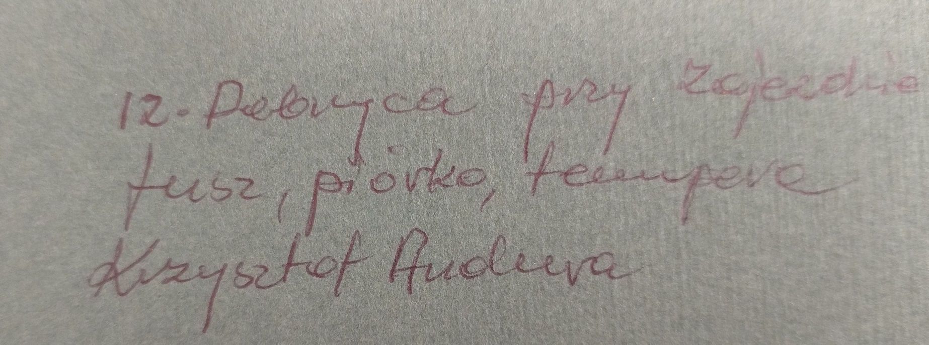 Rysunek piórkiem Dobrzyca autor Krzysztof Andura