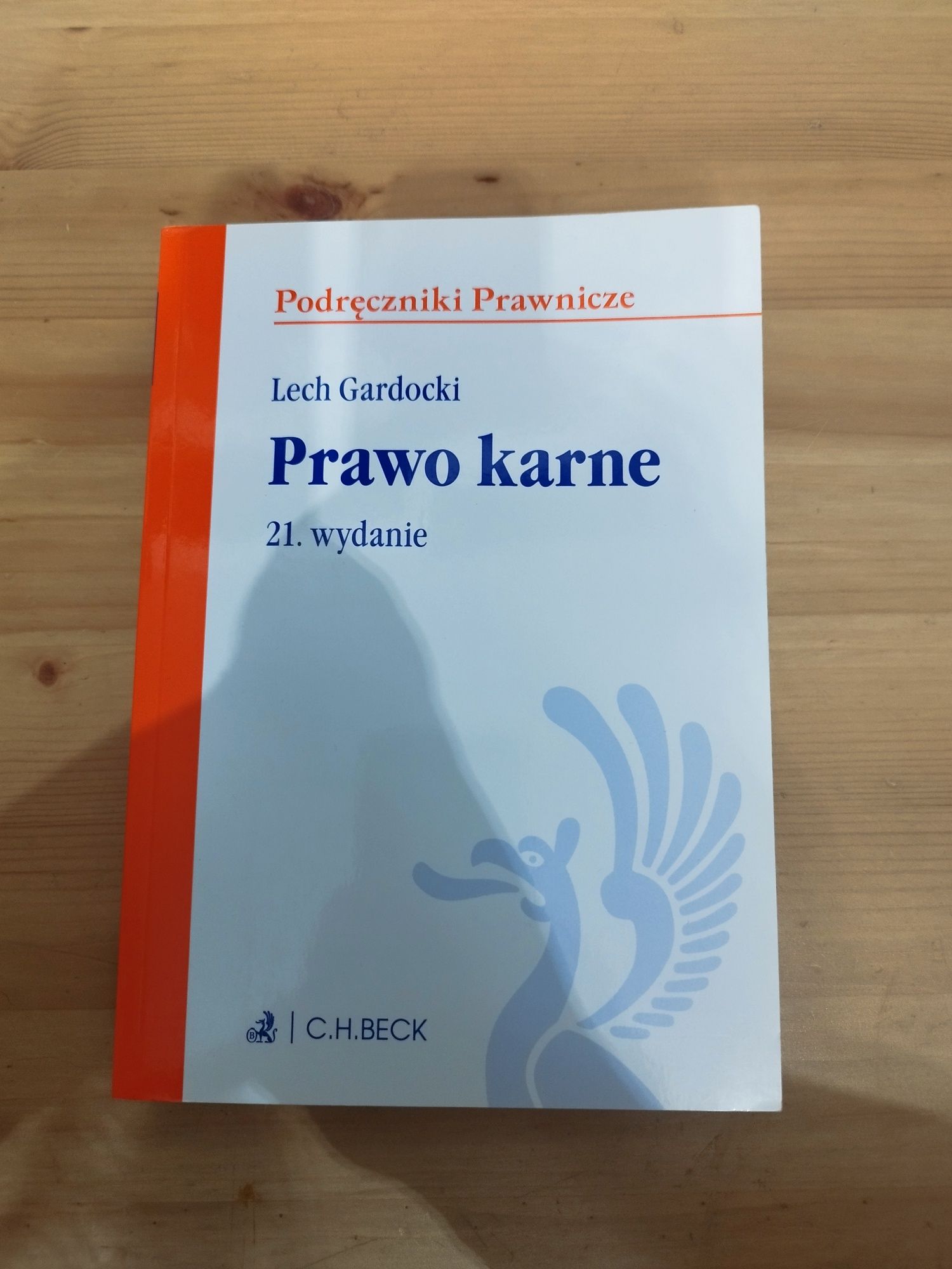 Prawo karne wyd 21