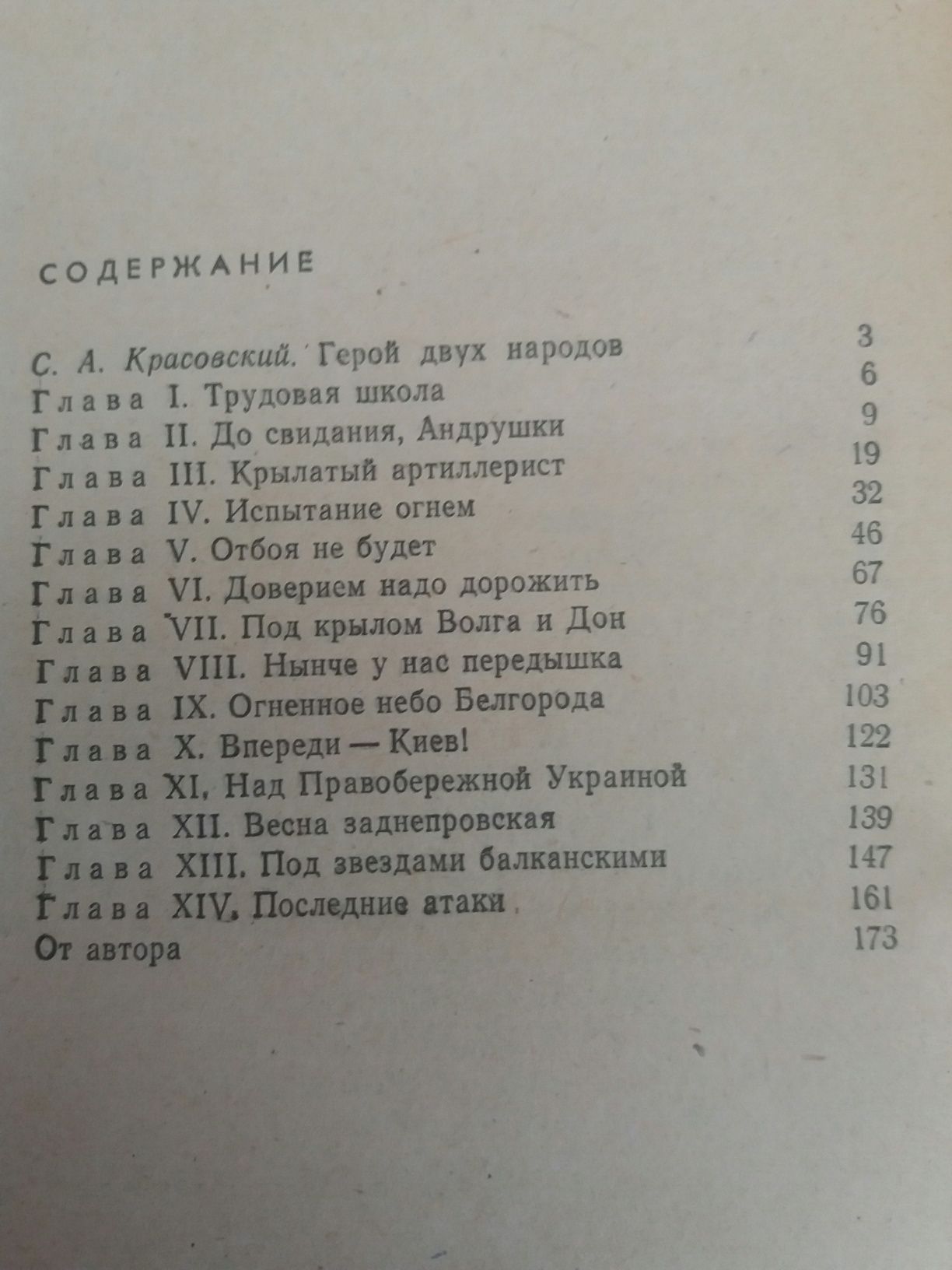 Землянский Д. С. Высокое небо Витрука