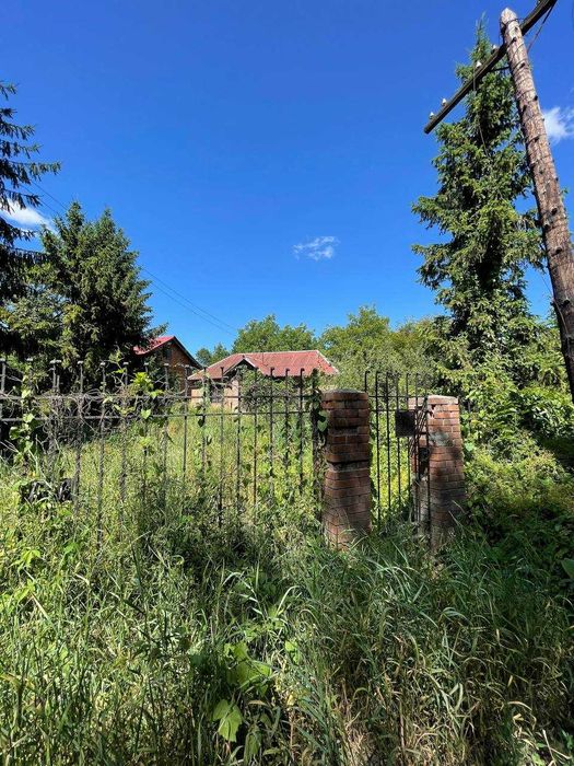 Будинок в селі Золота липа