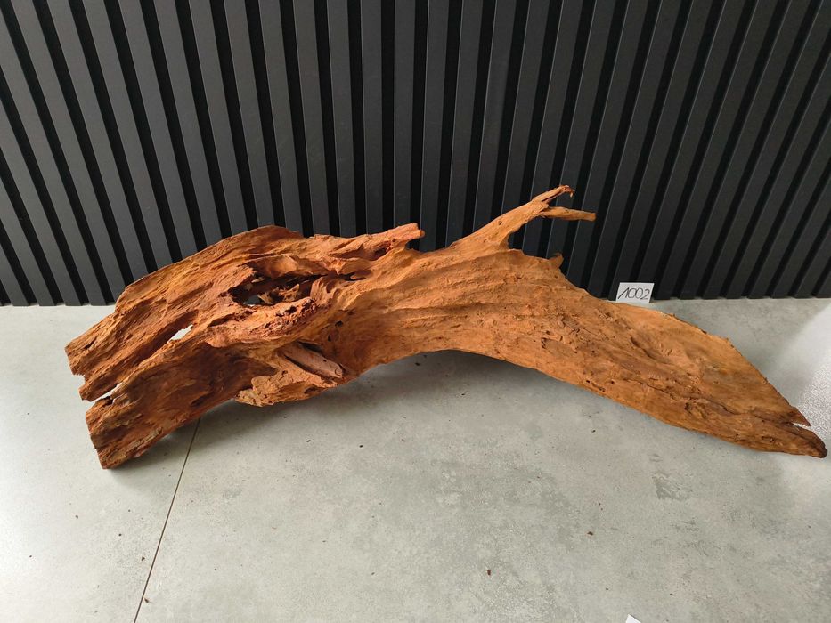 Korzeń MANGROWCA XXL 1002 akwarium terrarium 96x35x48 Unikat Duży