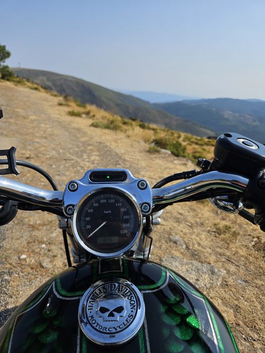 Sportster 883 custom 2007