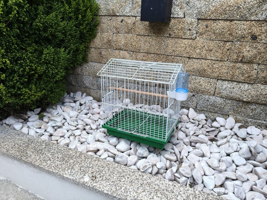 Gaiolas para pássaros