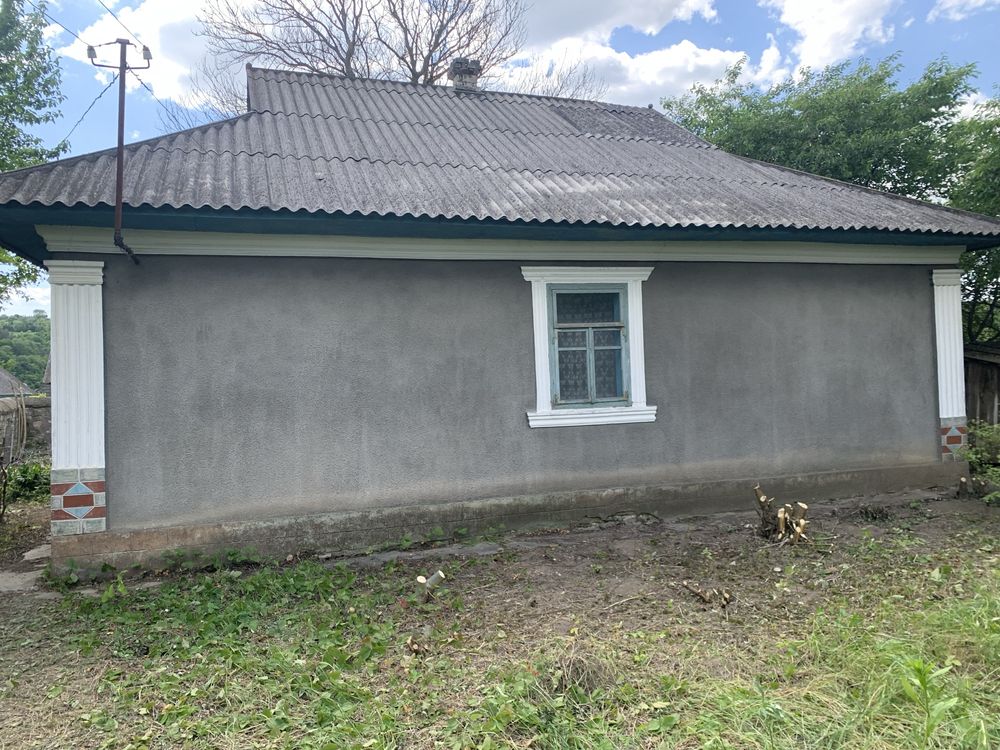 Приватний будинок ,літня кухня ,комора шопа для живності