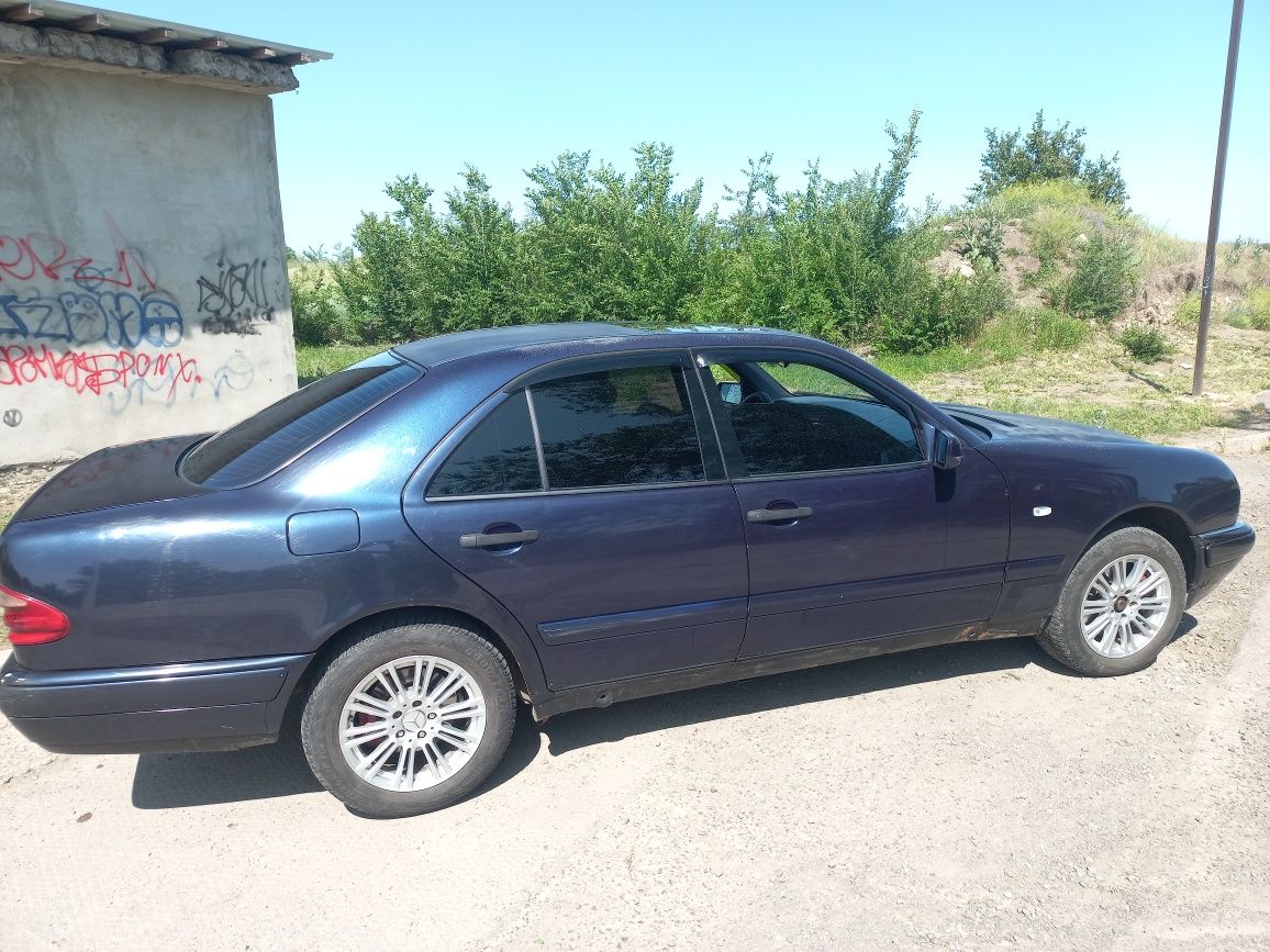 Продам лупатого или обмен.