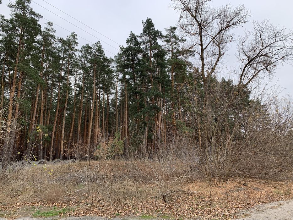 Дом в селі Головач