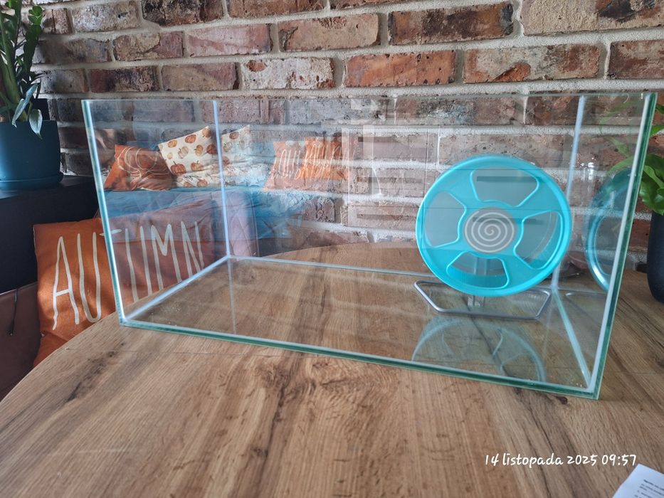 Akwarium dla chomika i innych gryzonii