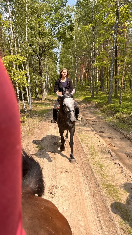 Klacz 5 letnia  ŚLĄSKA