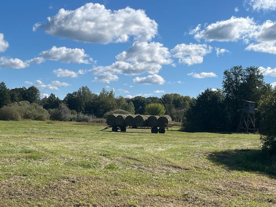 Sprzedam siano w belach pogodne!!!