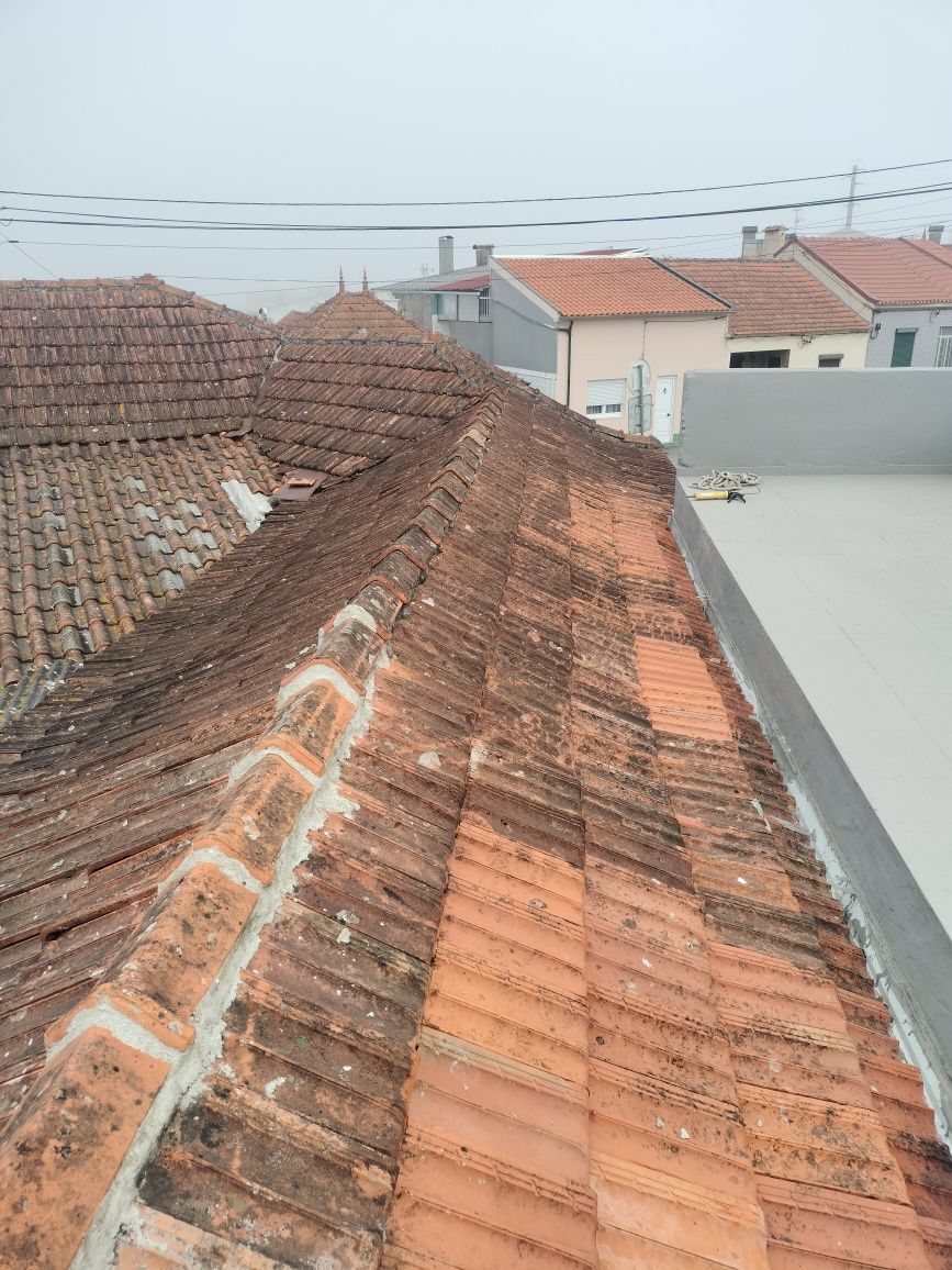 Pintor construção civil