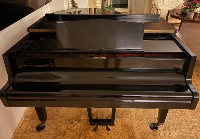 Fortepian Calisia 170 cm (Warszawa)