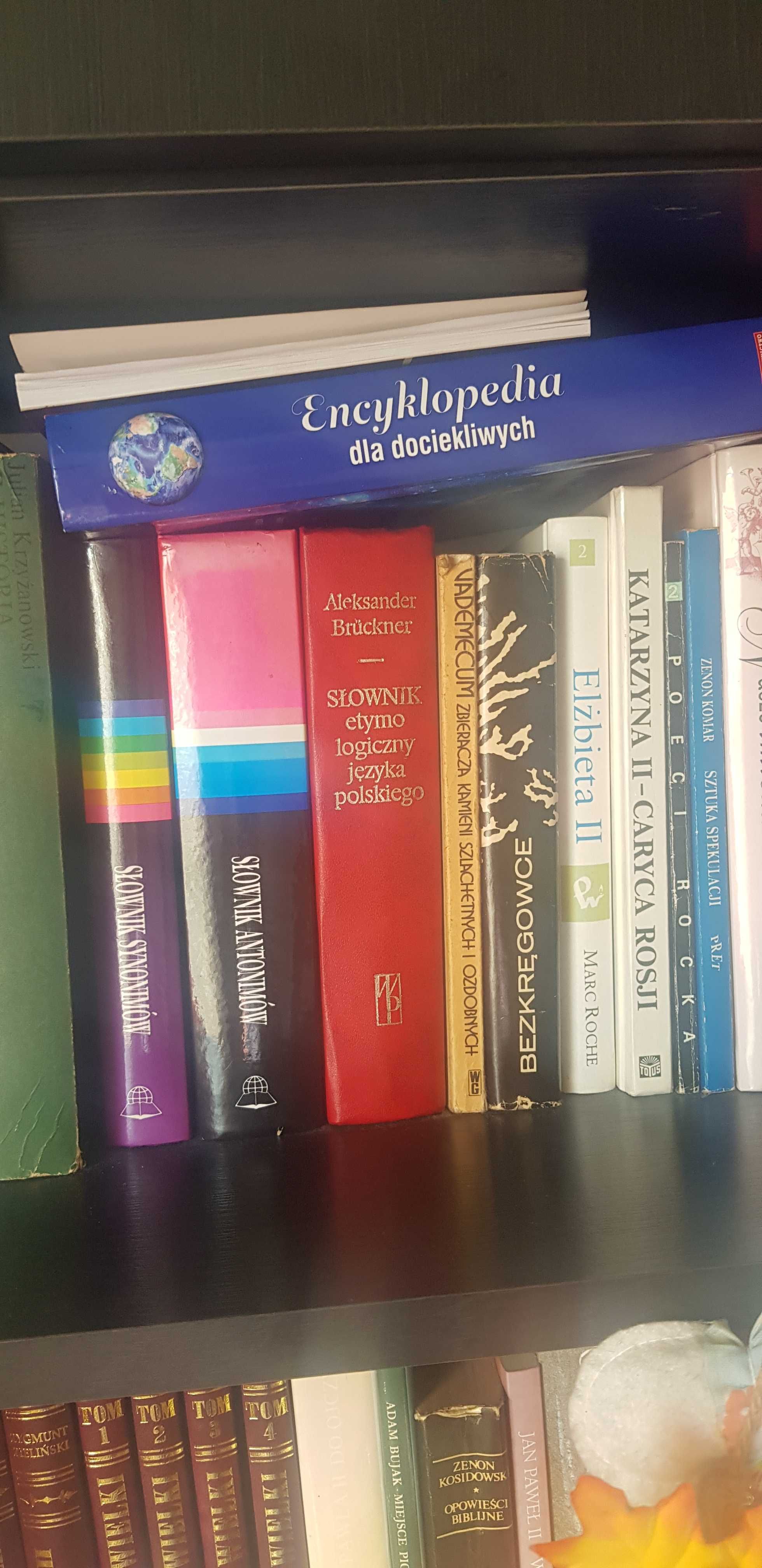 Sprzedam książki likwidacja domowej  biblioteki