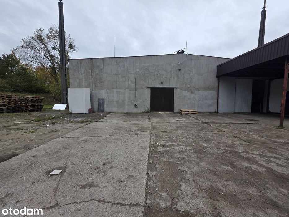 Magazyn 400 m² + biuro 50 m² | Rondo Hakena | Doskonała lokalizacja!