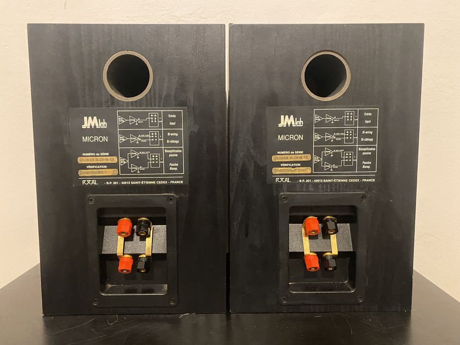 Акустика колонки Focal JMlab Micron