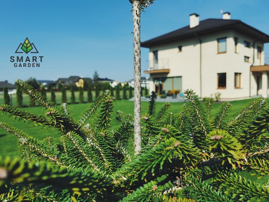Profesjonalne zakładanie Trawnika-Odwodnienie-Nawadnianie-SMART GARDEN