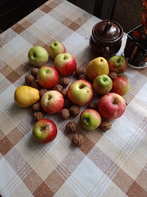 Jabłka ze swojskiego sadu. Zero oprysków. 100% ekologiczne