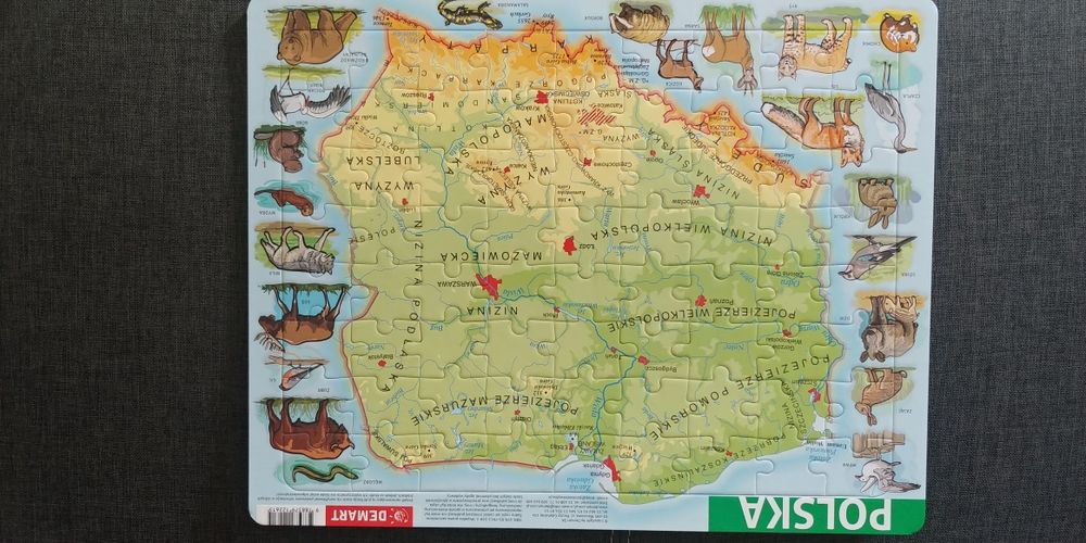 zestaw puzzli dla dzieci