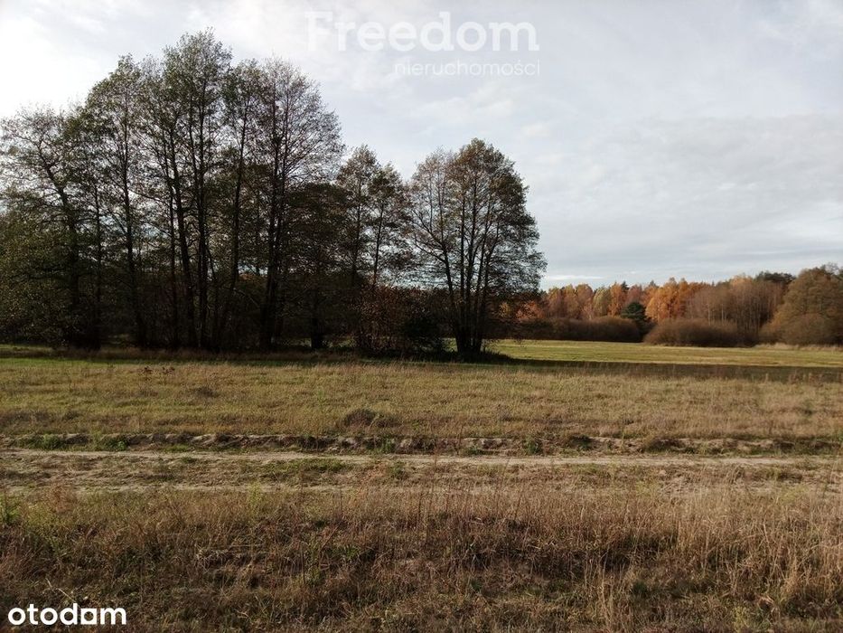 Idealna działka pod Twój wymarzony dom