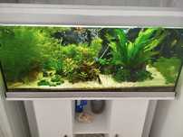 Aquário aquatlantis 200L