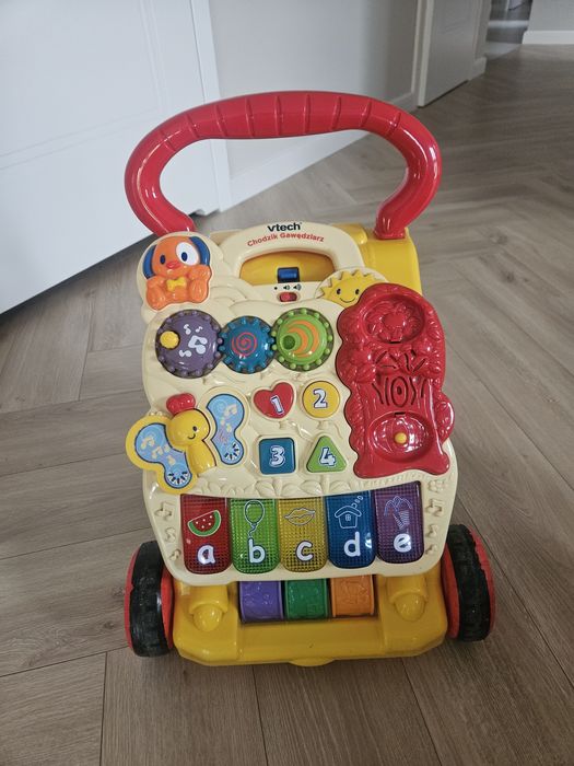 Chodzik Gawiędziarz Vtech