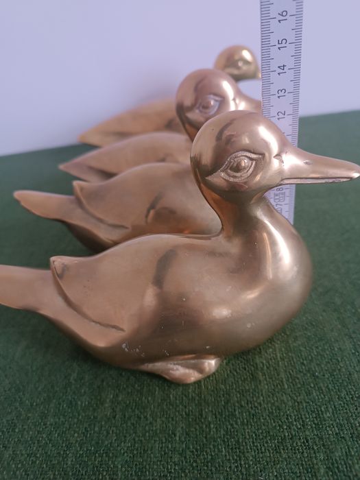 Mosiężne duże kaczki