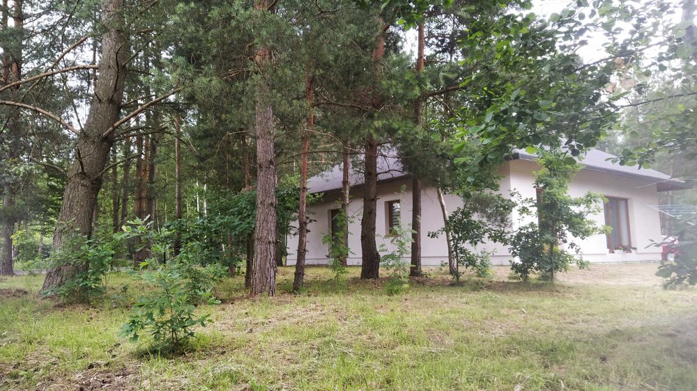 Dom w sercu lasu pod Warszawą, działka 1600m2